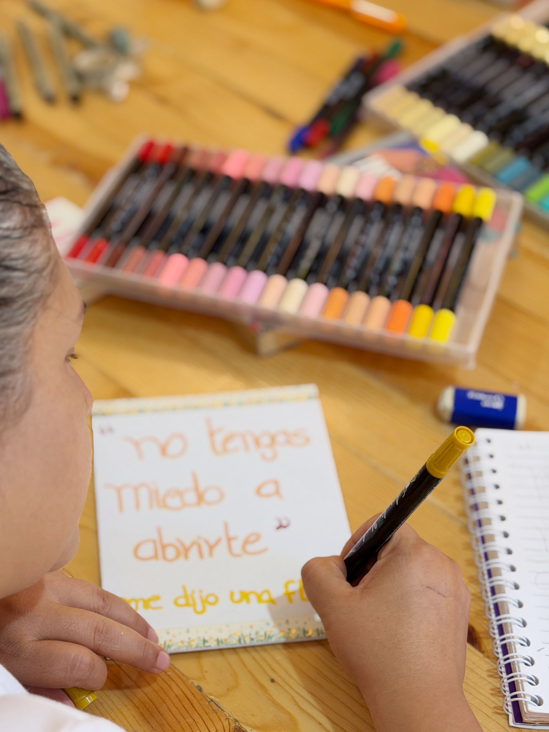 escribiendo-frase